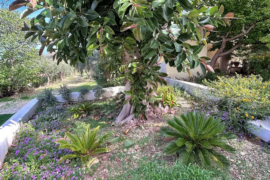 Il giardino